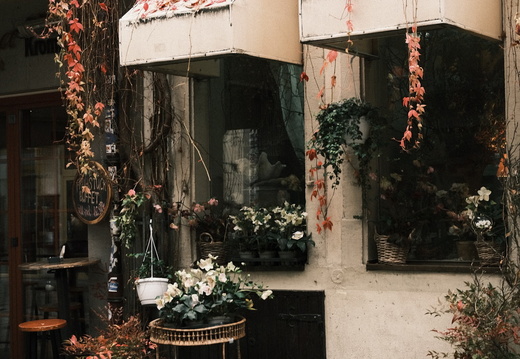 Flower Shop