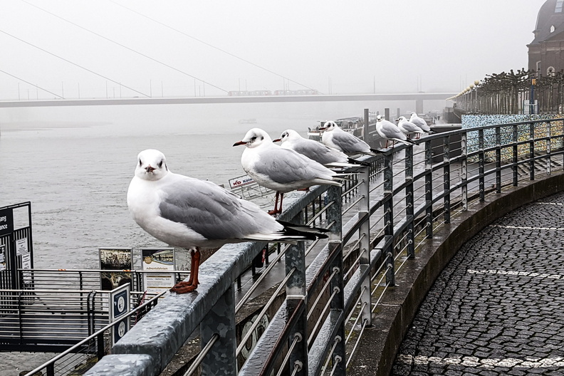 PXL_20211217_080945252 (6).jpg